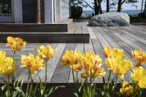 Thermo Ash decking